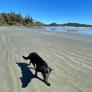 Meet your Posher, Nikki.